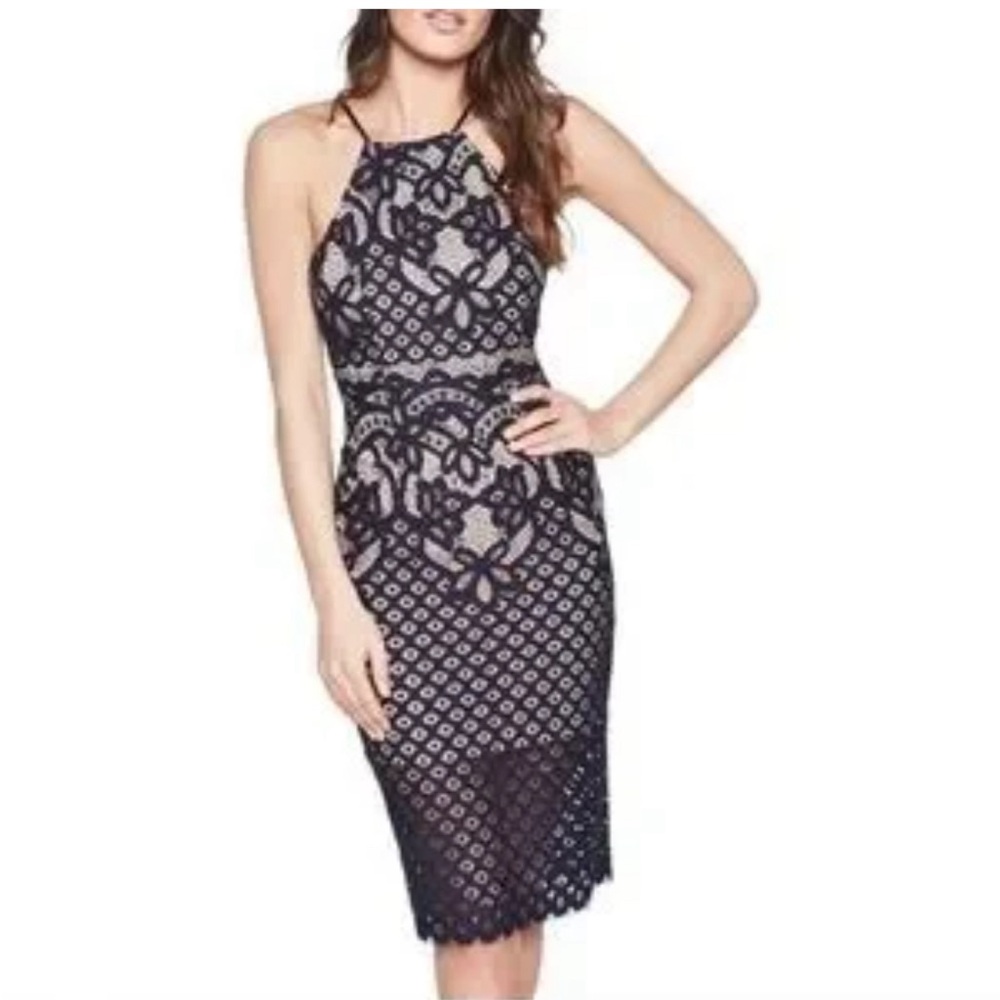BARDOT Mila Lace Dress Navy Size 10 / L